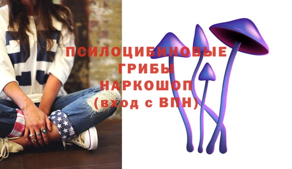 герыч Лиски