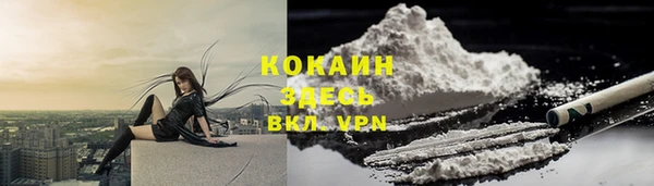 сатива Лихославль
