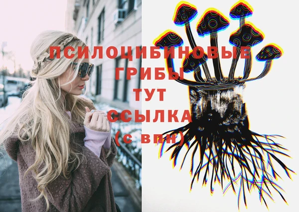 сатива Лихославль