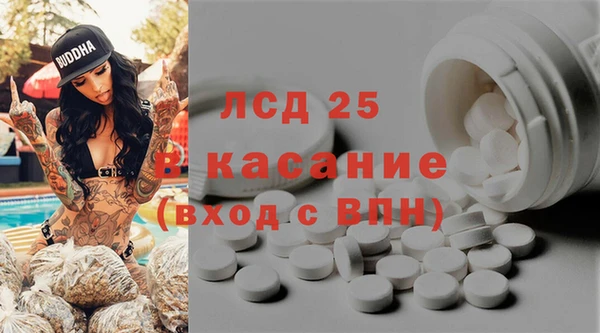 сатива Лихославль