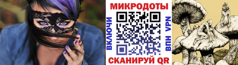Псилоцибиновые грибы Psilocybe  Иноземцево 